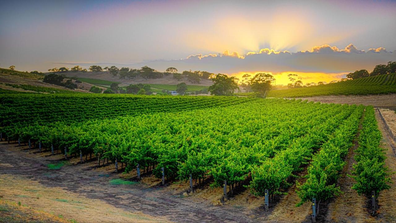 Triple Creek Guest House - Barossa Region Seppeltsfield Extérieur photo
