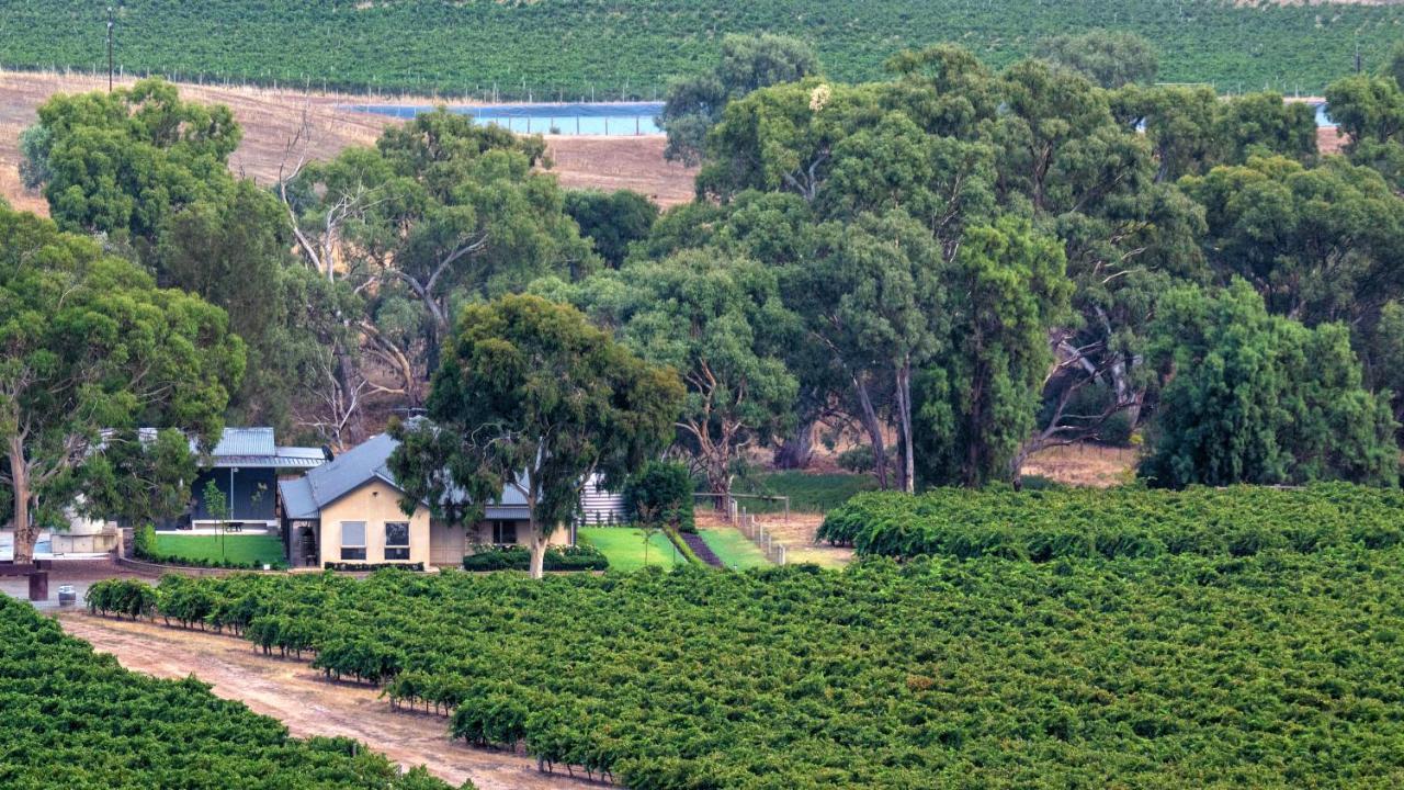 Triple Creek Guest House - Barossa Region Seppeltsfield Extérieur photo